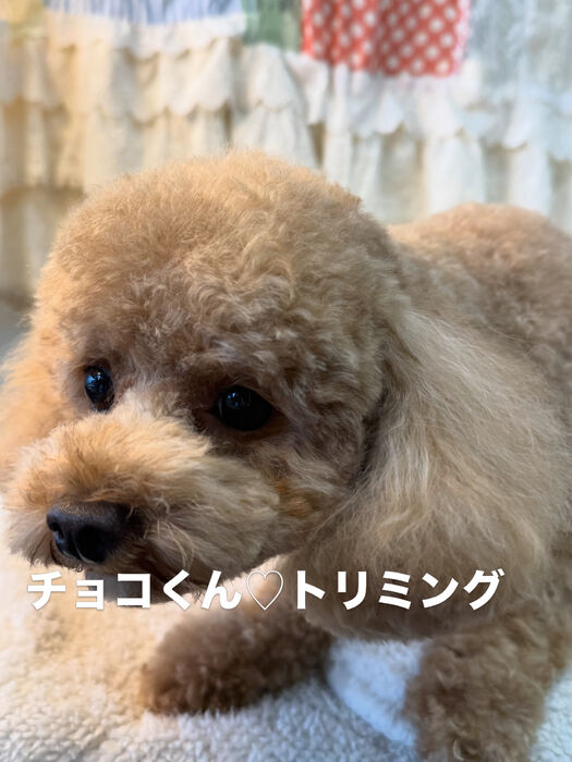 画像6893
