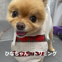 画像6902