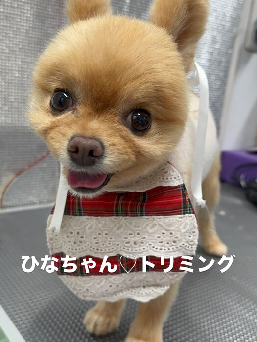 画像6902