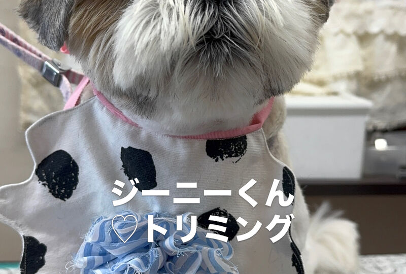 画像6910