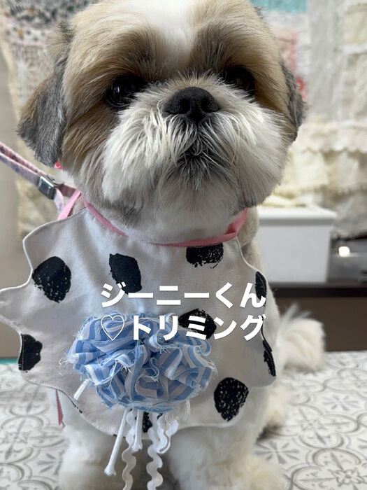 画像6910