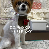 画像6918
