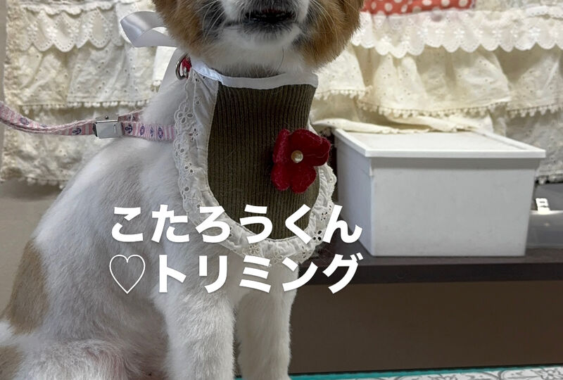 画像6918