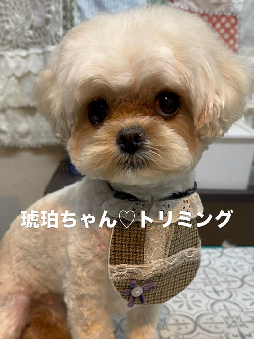 画像6926