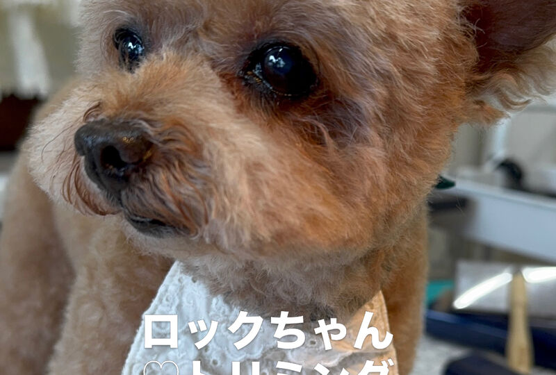 画像6936