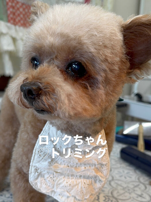 画像6936